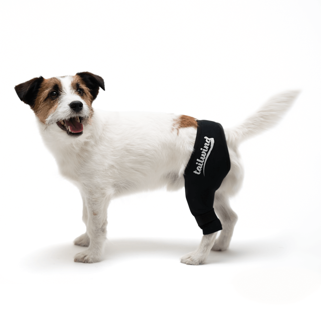 Dog Knee Brace for Torn ACL Hind Leg, Dog Leg Braces for Back Leg with  Metal Support, ACL Brace for Dogs Rear Leg Tear CCL, Arthritis, Knee Cap