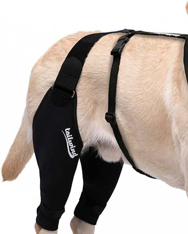 The Best Dog Knee Braces of 2023 Ranked by Veterinarians Tailwindpets