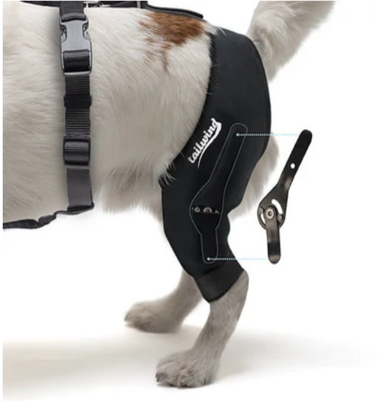 Dog Knee Brace with Hinge Splint