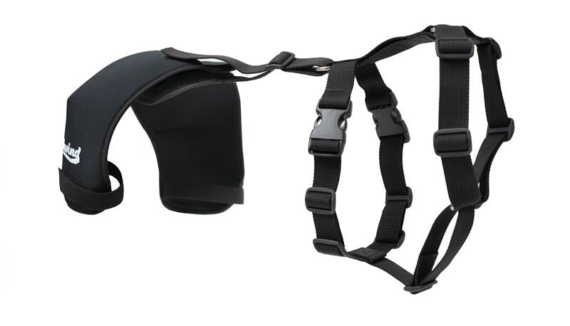 Dog hip outlet brace