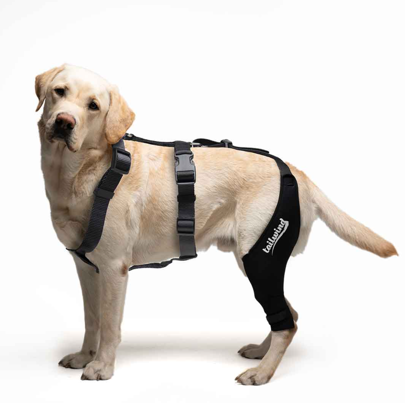 Dog Leg Braces for Back Leg - Dog Knee Brace For Support With Cruciate