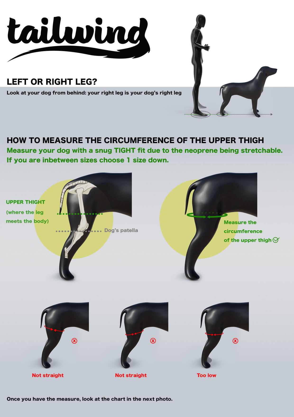 Dog Knee Brace - Cruciate Support – Tailwindpets